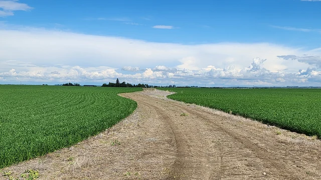 07 Access Road to Power  Site