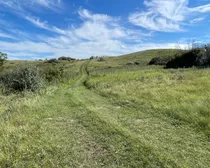 11 20250818_220230803_iOS