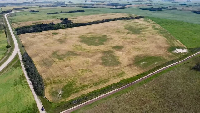 1 20250818_203633029_iOS