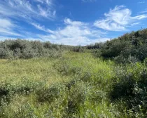 12 20250818_220127212_iOS