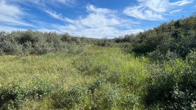 12 20250818_220127212_iOS