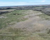 13 20240427_181414000_iOS (Large)