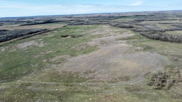 13 20240427_181414000_iOS (Large)