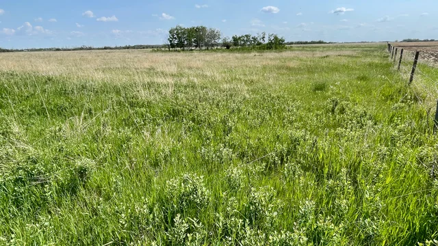 13 20250604_165524037_iOS