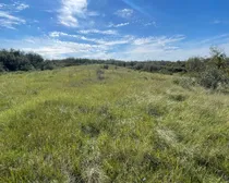 13 20250818_220240075_iOS