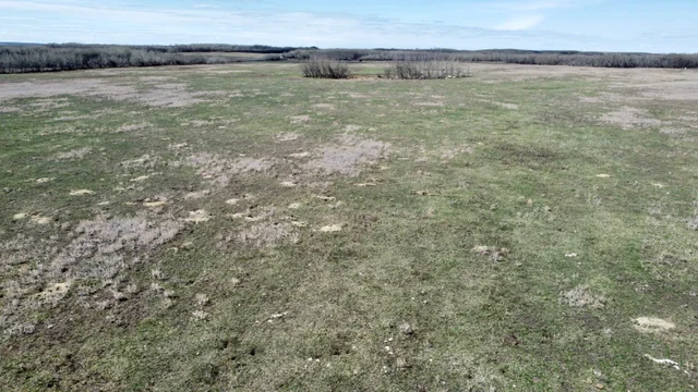 14 20240427_181448000_iOS (Large)