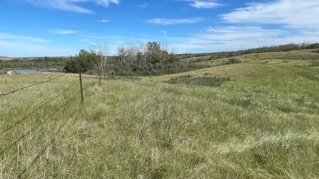 14 20250818_215430023_iOS