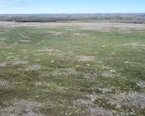 15 20240427_181538000_iOS (Large)