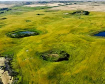 15 20250826_232022000_iOS