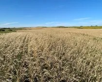 18 20250826_233748336_iOS