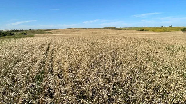 18 20250826_233748336_iOS