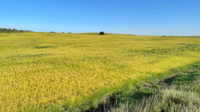 19 20250826_233207764_iOS