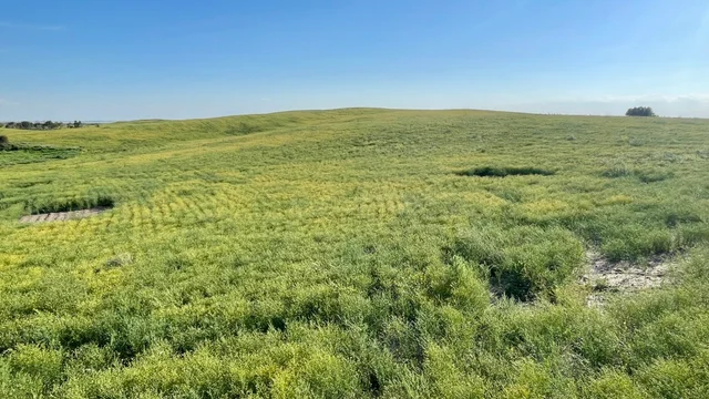 20 20250826_232503121_iOS