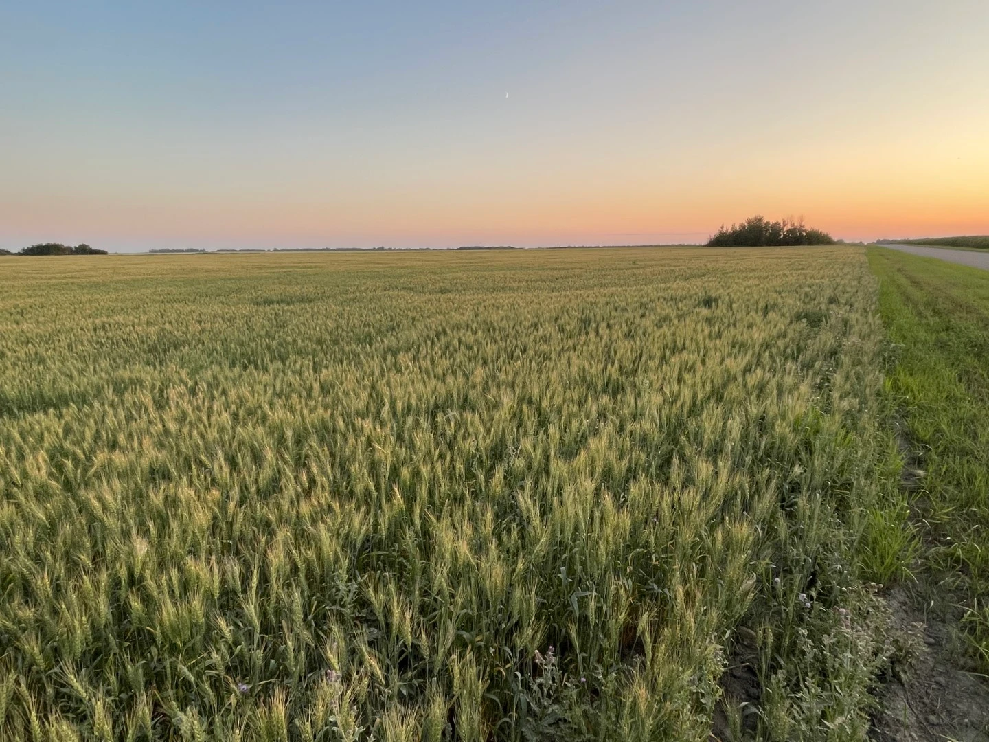 2 20250730_025213980_iOS (Large)