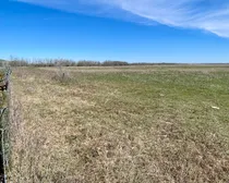 3 20240427_182005849_iOS (Large)