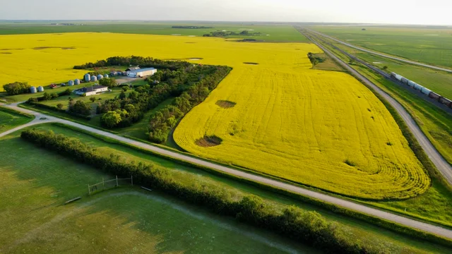 3 20240709_020446000_iOS (Large)