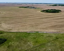 3 20250604_164708000_iOS