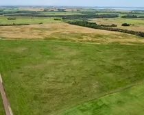 3 20250818_203055650_iOS