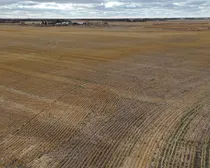 3b DJI_20251031124332_0030_D (Large)