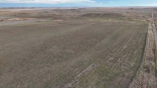 3d DJI_20251025084208_0019_D