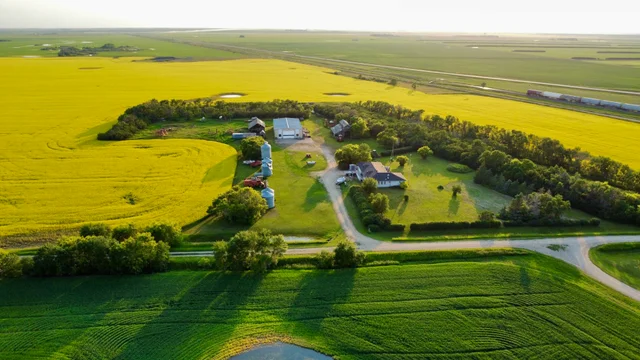 43 20240709_020418000_iOS (Large)