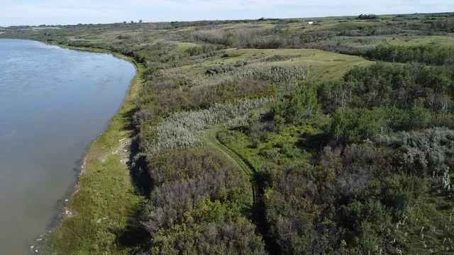 4a 20250818_214338427_iOS