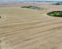 5 20250604_164726000_iOS