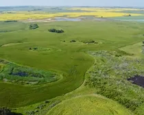 5 20250728_155612656_iOS (Large)