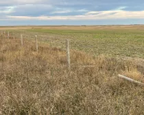 5a 20251025_143213876_iOS (Large)