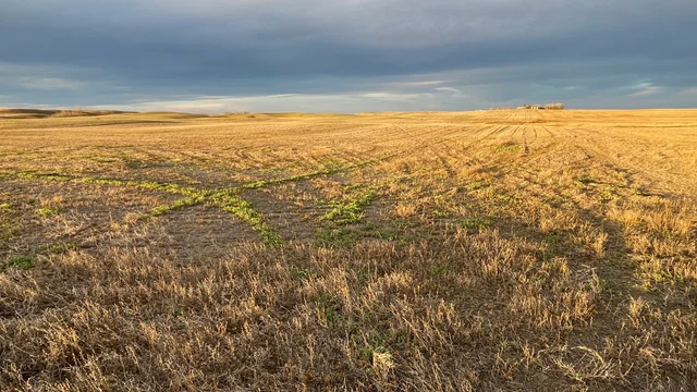 5d 20251025_141243355_iOS (Large)