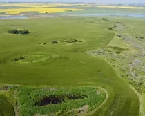 6 20250728_155517976_iOS (Large)