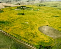 7 20250826_231454000_iOS