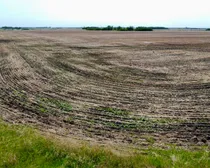 8 20250604_164302000_iOS