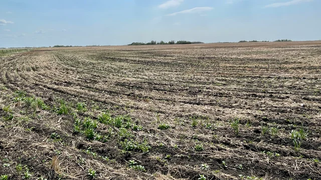 8 20250604_165544356_iOS