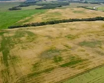 8 20250818_203253165_iOS