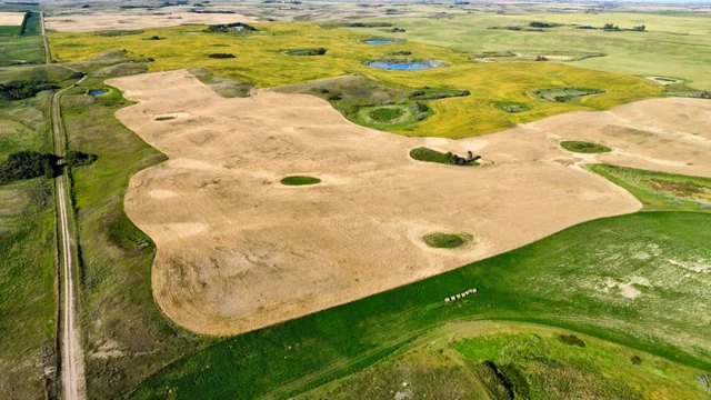 8 20250826_231646000_iOS