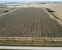 9 20240904_185620000_iOS