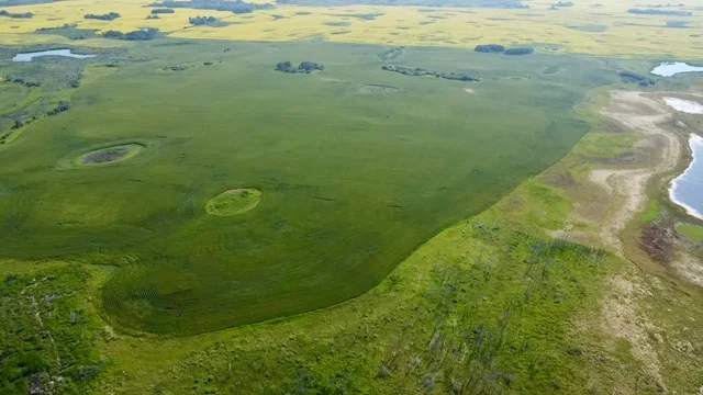 9 20250728_160016272_iOS (Large)