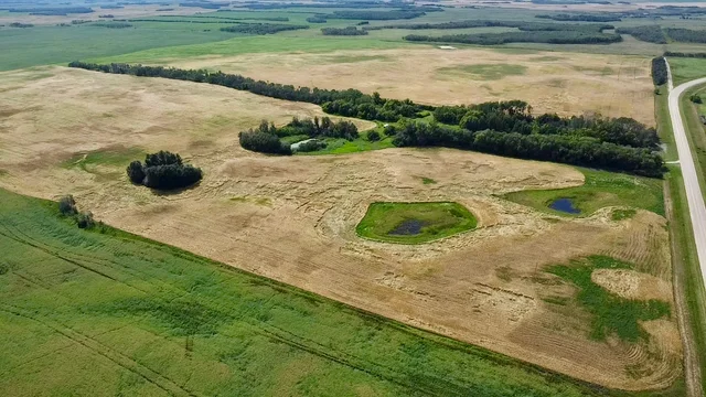 9 20250818_203417399_iOS