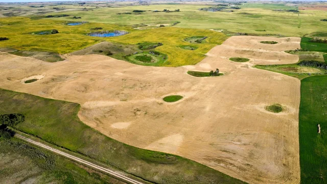 9 20250826_231626000_iOS