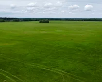 Gillies SE 21-51-12-W3