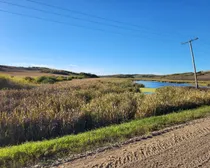 IMG_20251027_140245 (2)