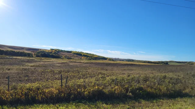 IMG_20251027_140245 (7)