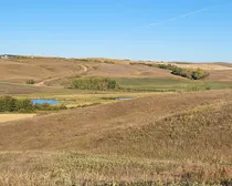 IMG_20251027_140355 (1)