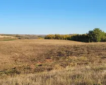 IMG_20251027_140355 (3)