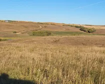 IMG_20251027_140355 (4)