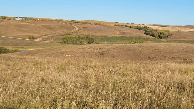 IMG_20251027_140355 (4)