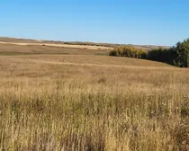 IMG_20251027_140355 (5)