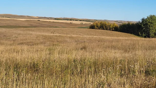 IMG_20251027_140355 (5)