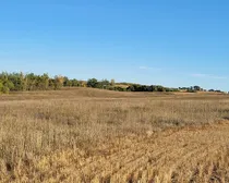 IMG_20251027_140355 (6)